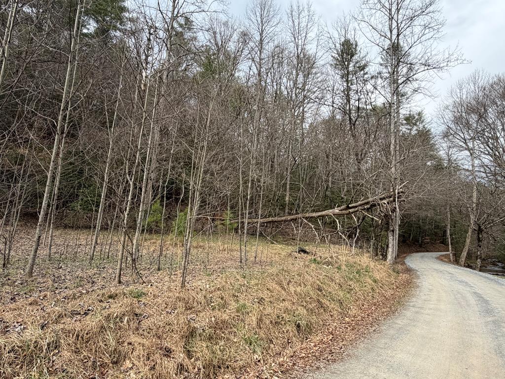 3.1 acre Maple Rest Lane