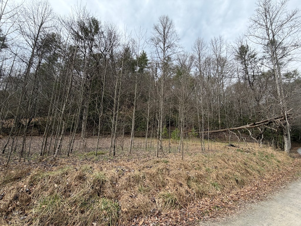 3.1 acre Maple Rest Lane