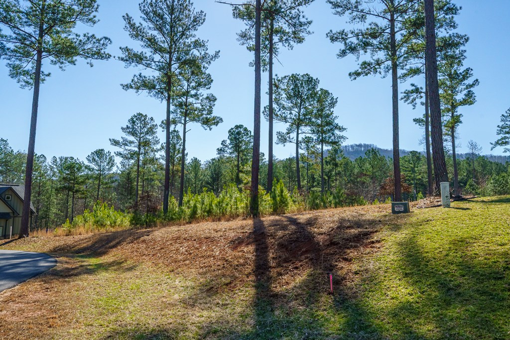 Lot 311 Hill Place