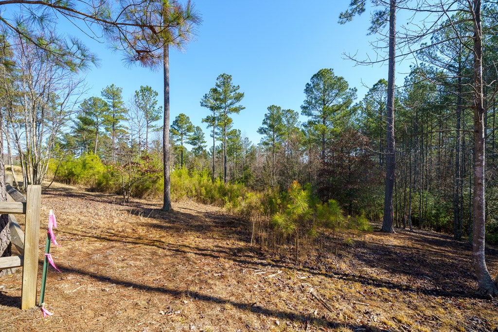Lot 311 Hill Place