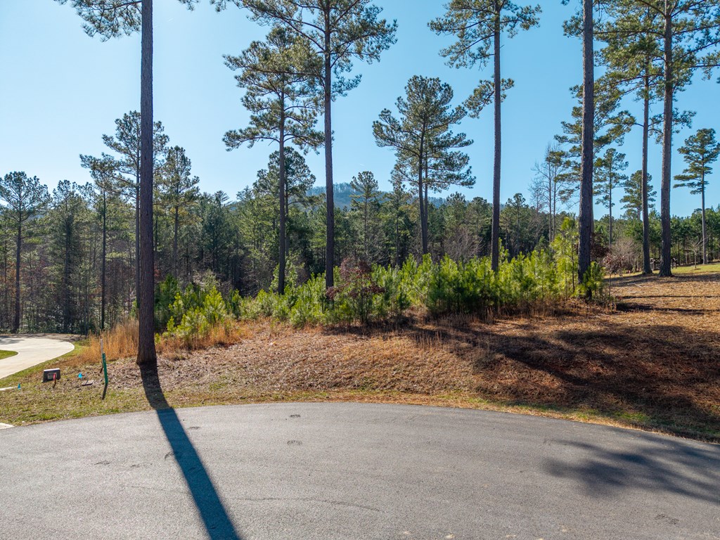 Lot 311 Hill Place