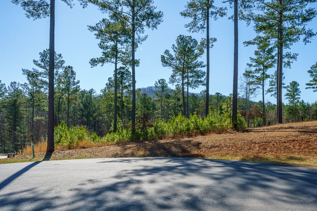 Lot 311 Hill Place