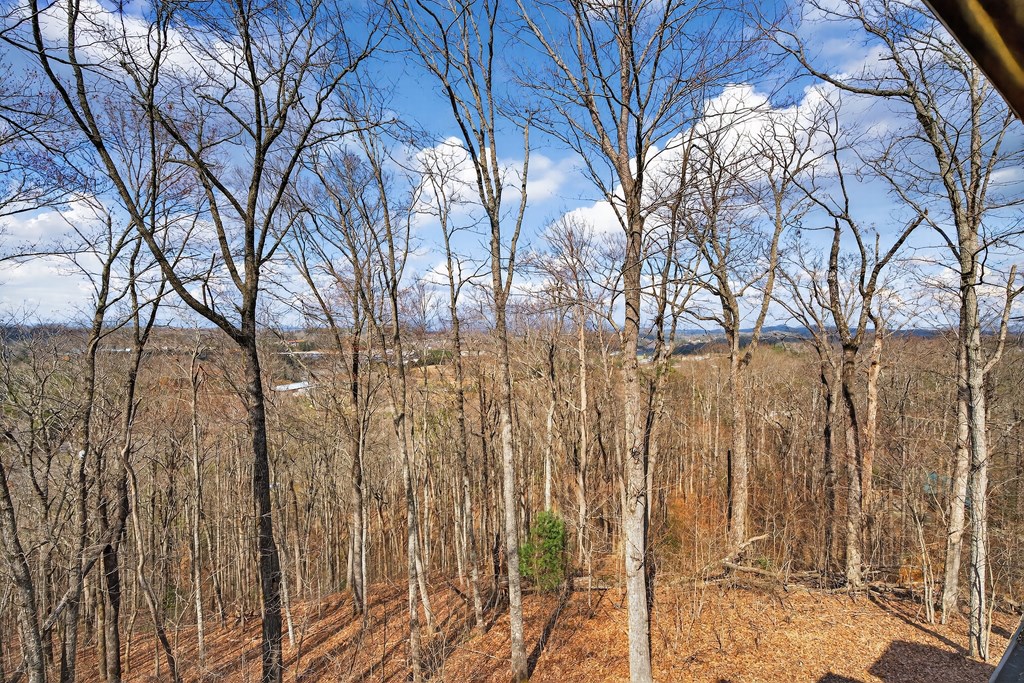 225 Eagles Nest Lane