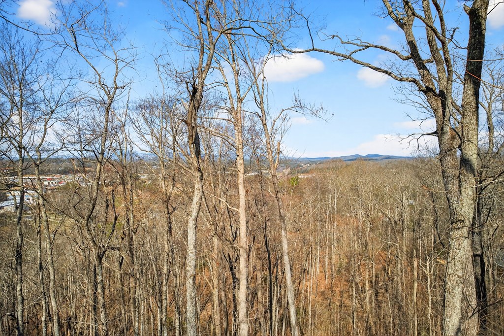 225 Eagles Nest Lane