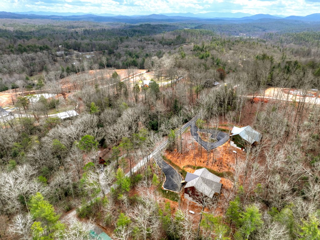 223 Bent Wood Lane