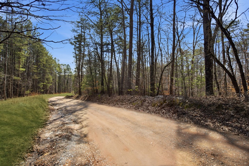 64 Bull Gap Road