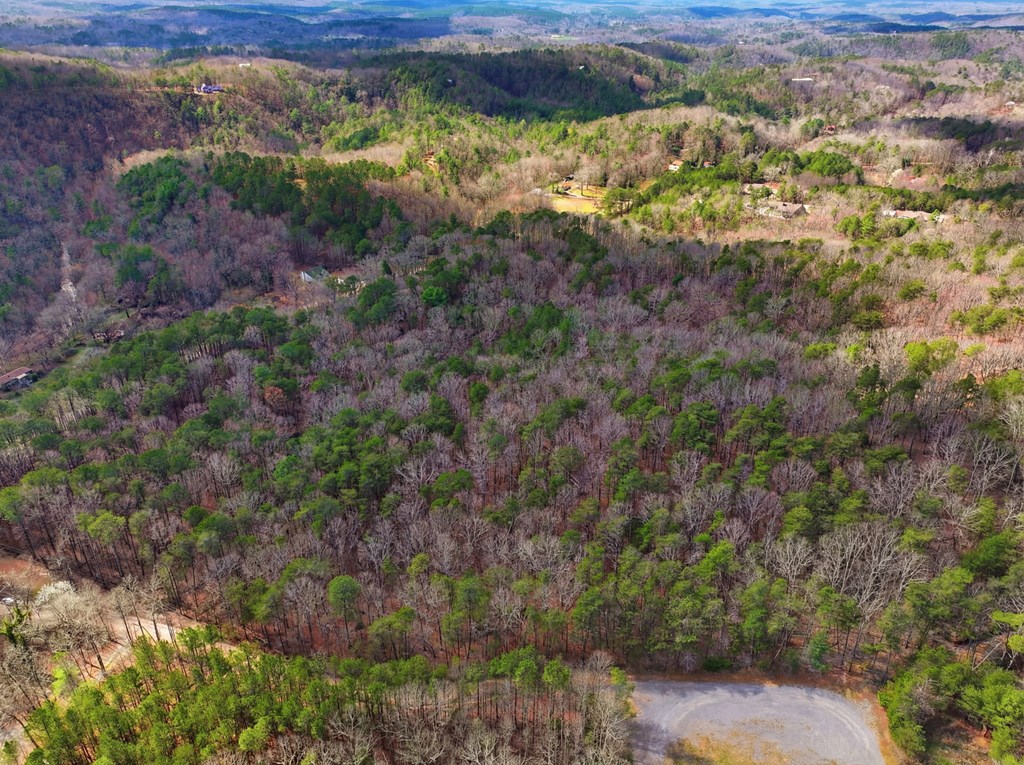 64 Bull Gap Road