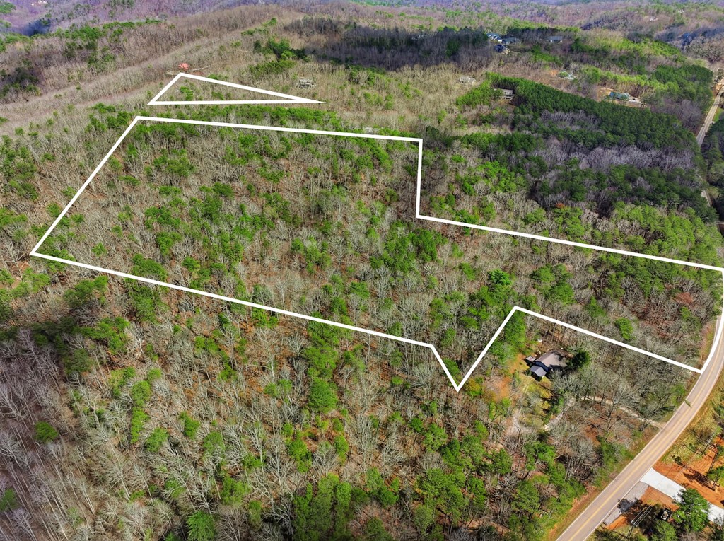 64 Bull Gap Road