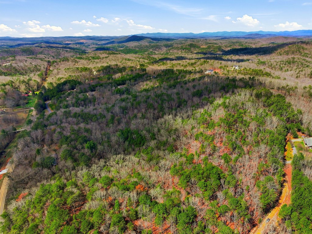 64 Bull Gap Road