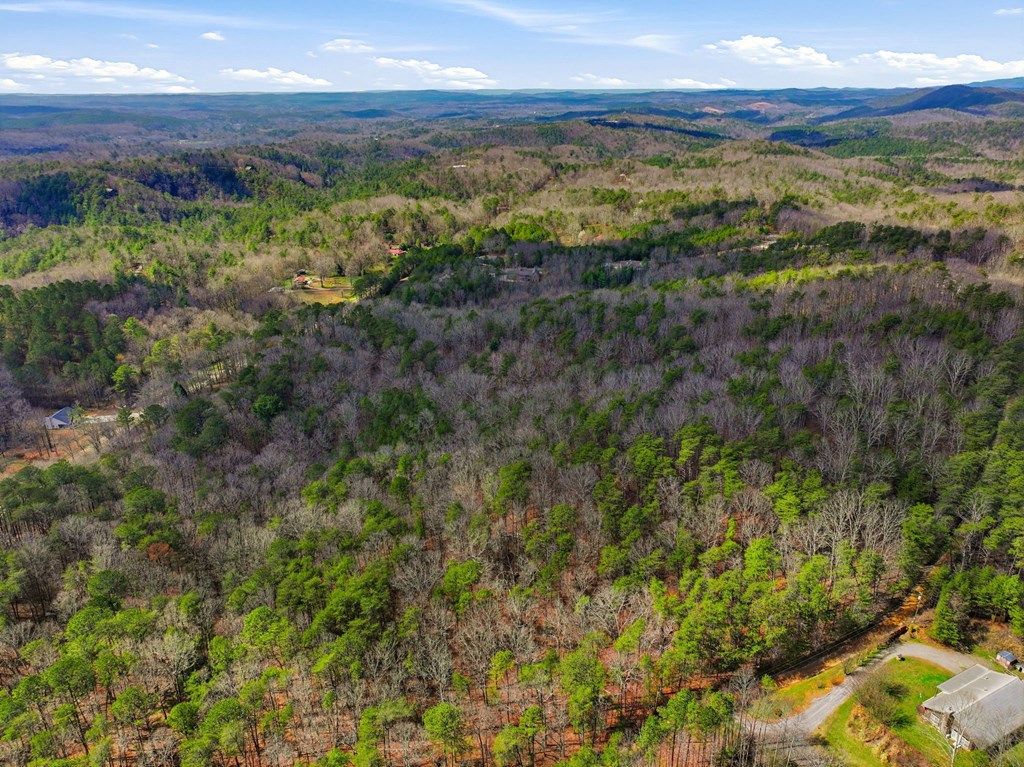 64 Bull Gap Road