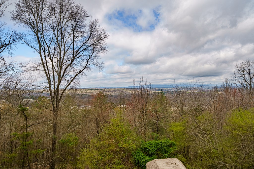624 Talona Mountain Road
