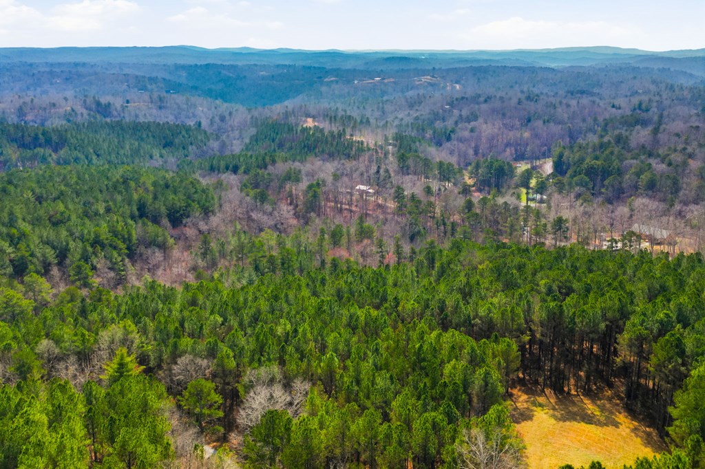 1215 Crossroads Church Road