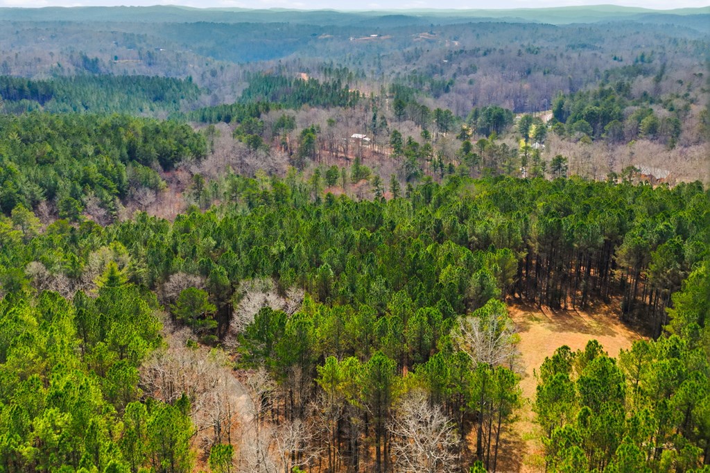 1215 Crossroads Church Road