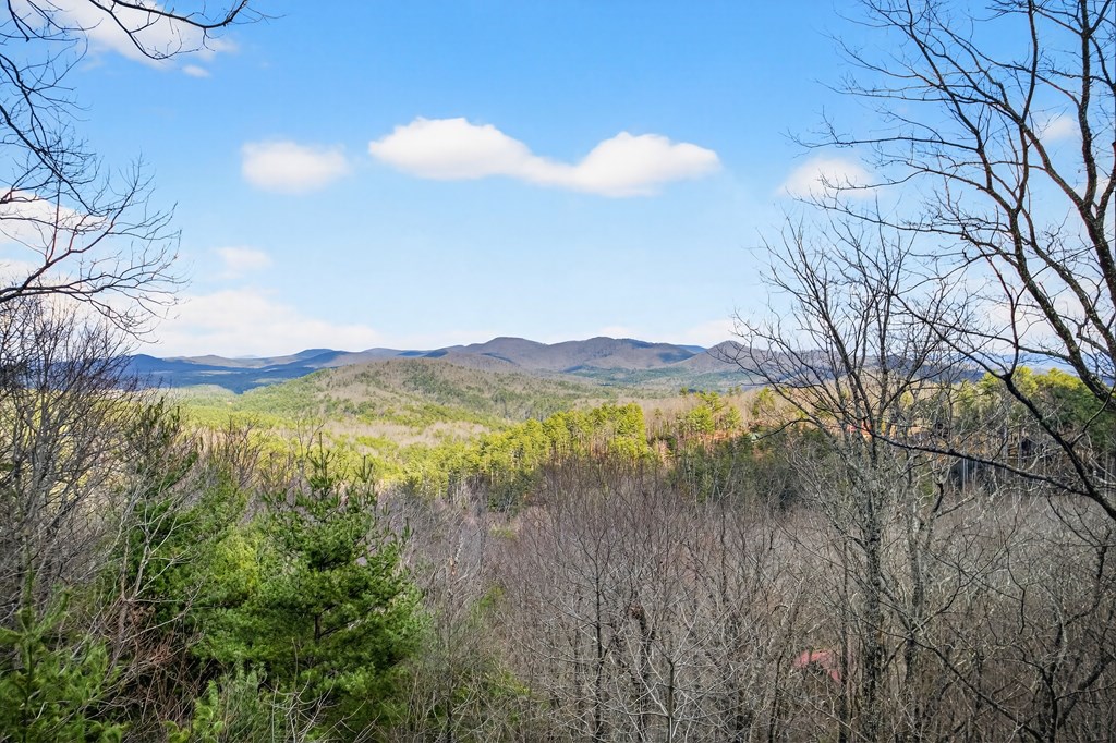 980 Bell Camp Ridge Road