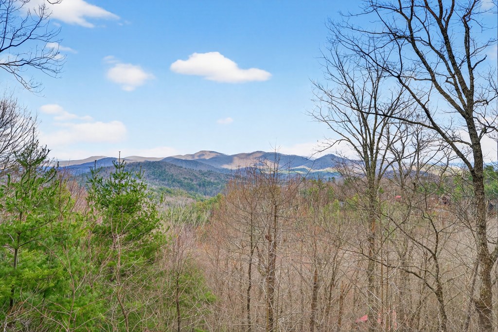 980 Bell Camp Ridge Road