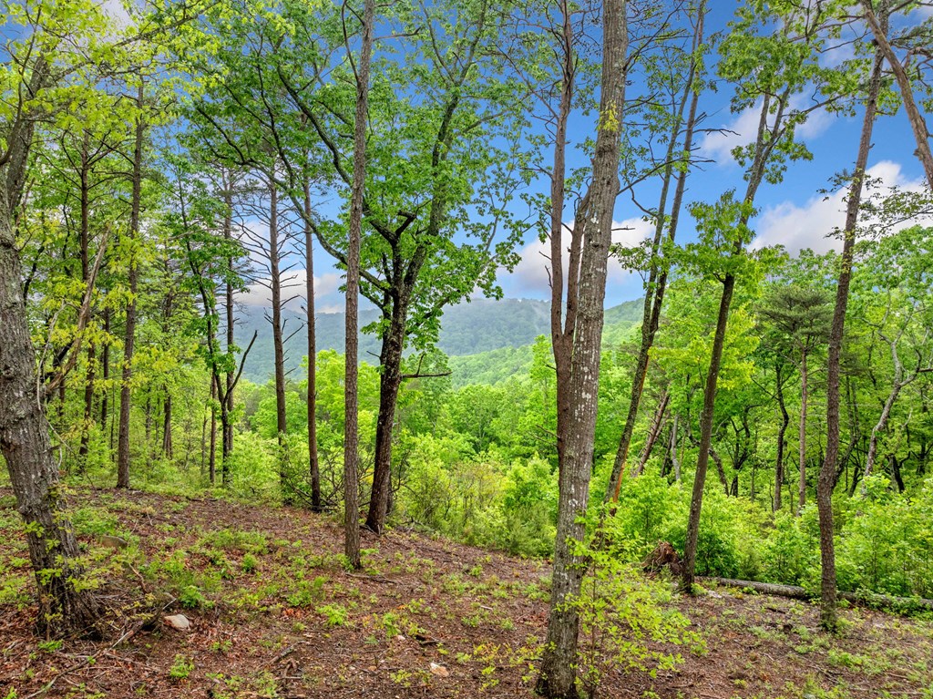 Lot 53 High Summit Drive