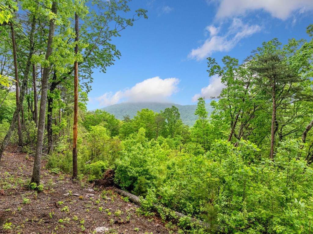 Lot 53 High Summit Drive