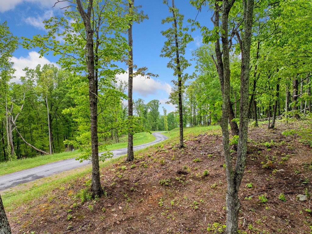 Lot 53 High Summit Drive