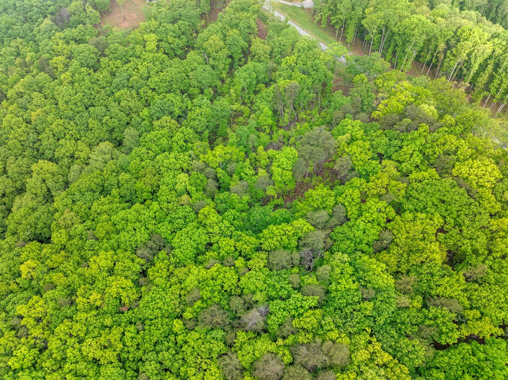 Lot 53 High Summit Drive