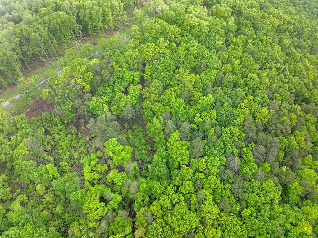 Lot 53 High Summit Drive