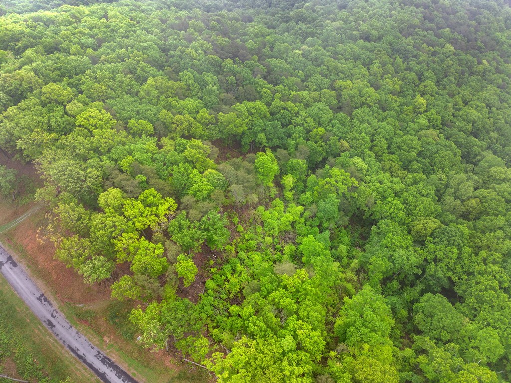 Lot 53 High Summit Drive
