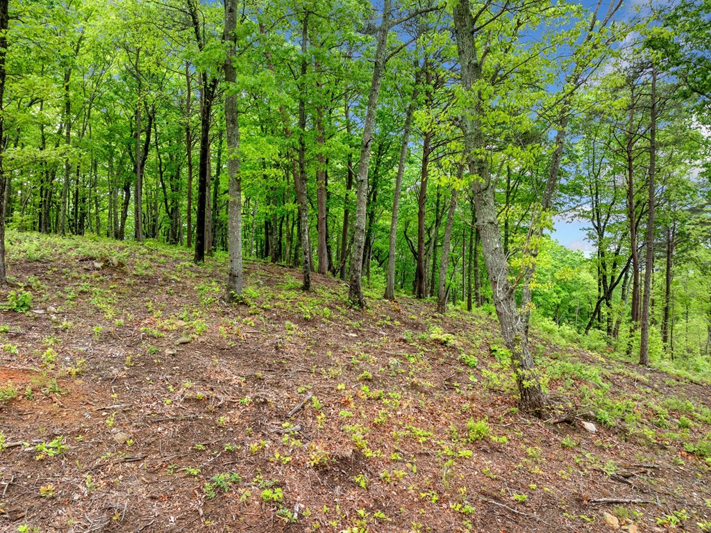 Lot 53 High Summit Drive
