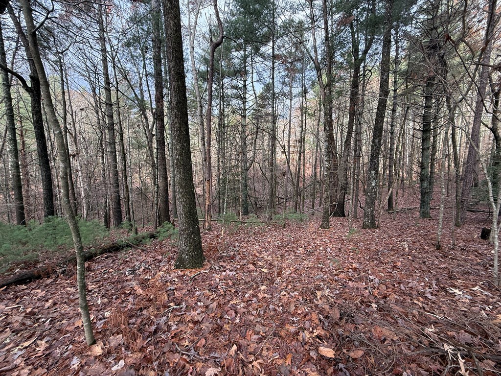 Lot 235 Toccoa Court