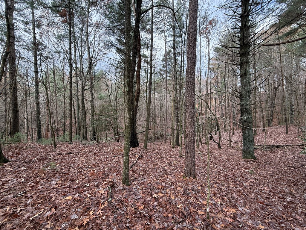 Lot 235 Toccoa Court