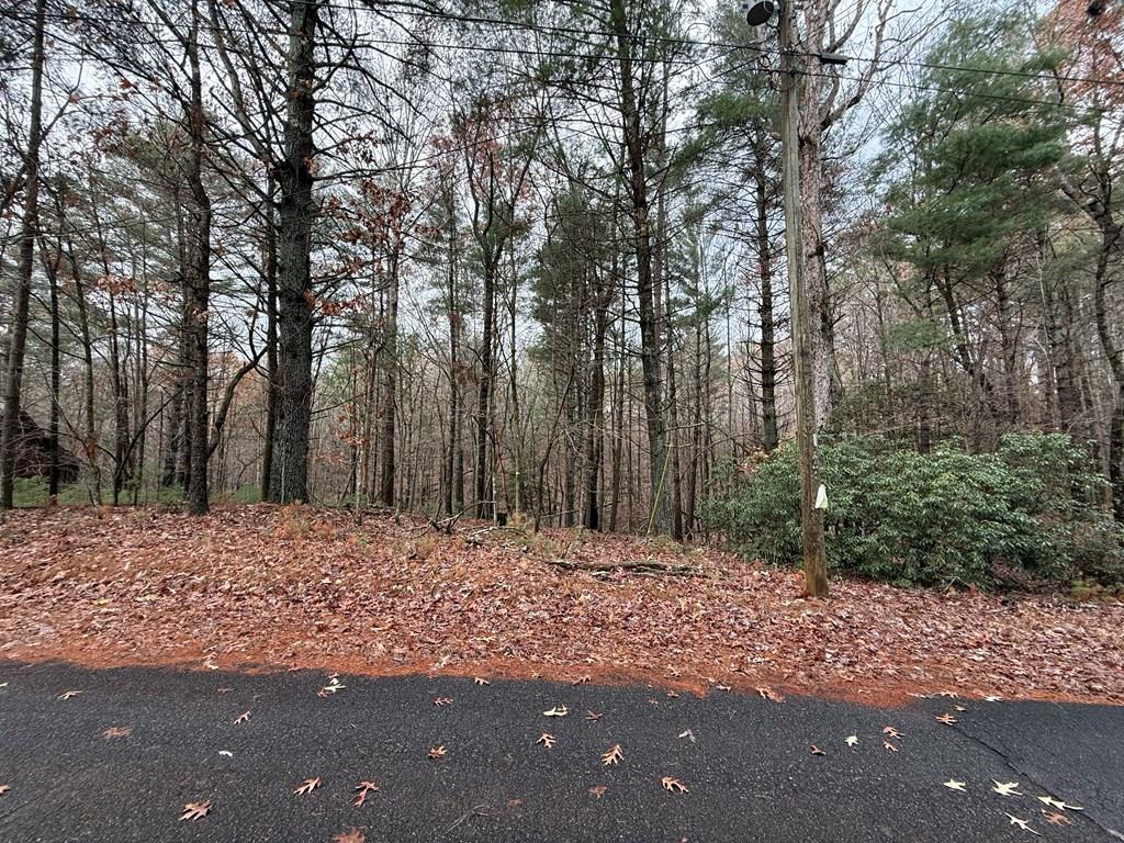 Lot 235 Toccoa Court