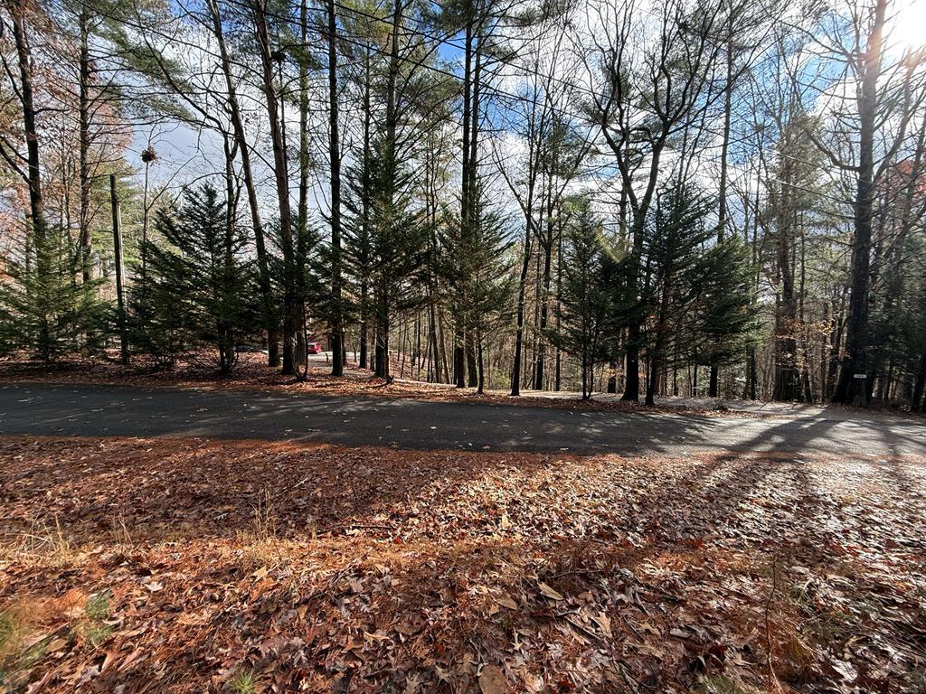 Lot 235 Toccoa Court
