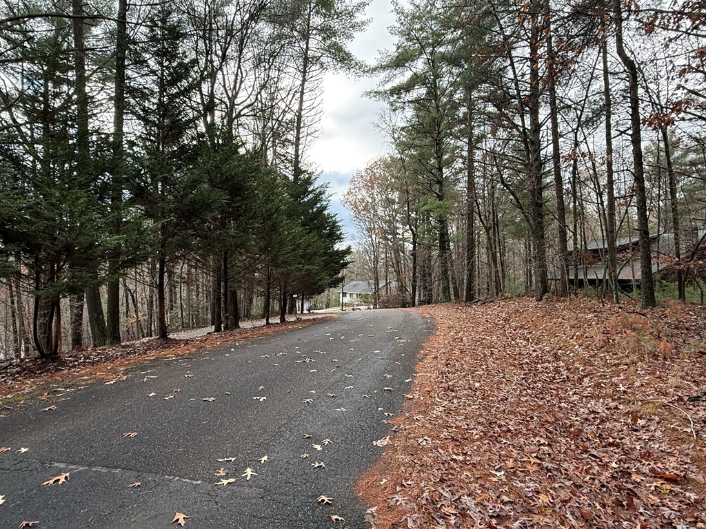 Lot 235 Toccoa Court