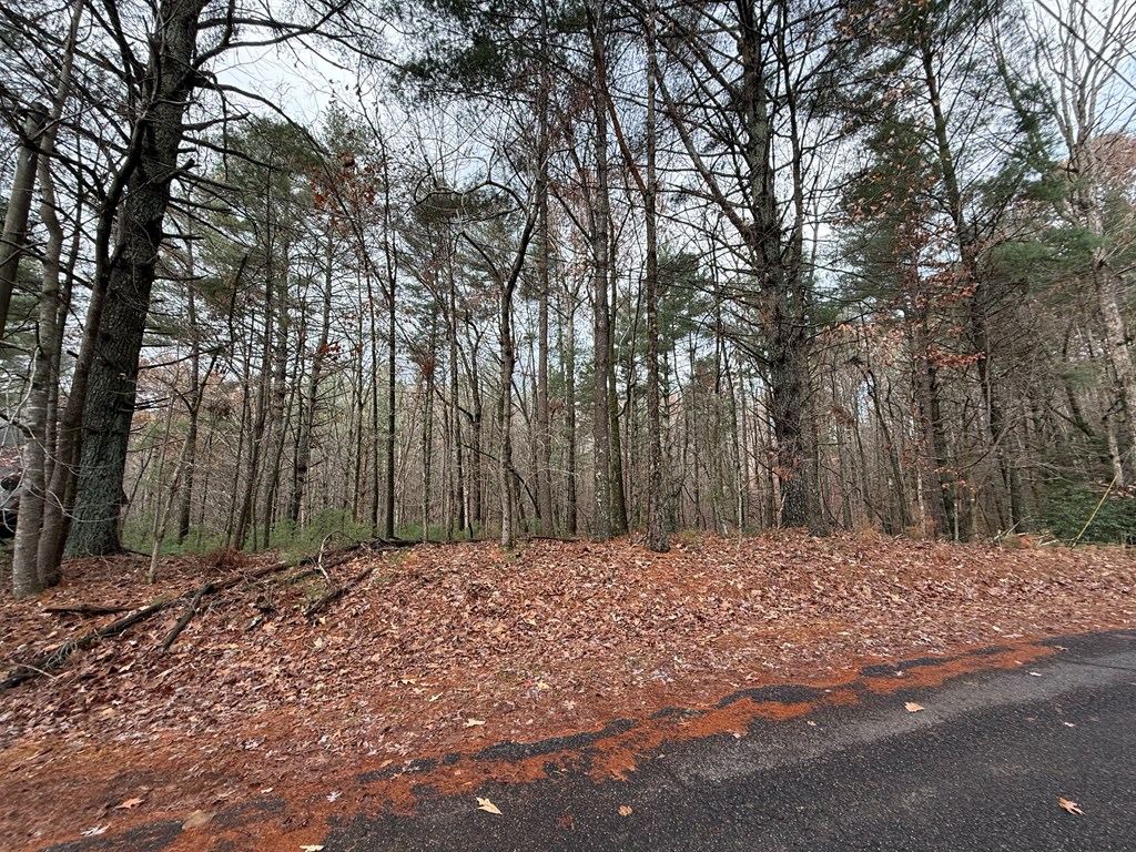 Lot 235 Toccoa Court