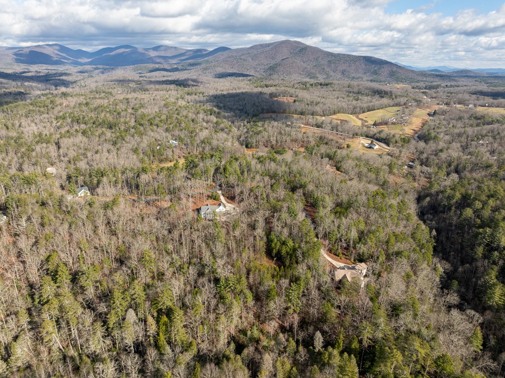 35LT Mill Creek Trail