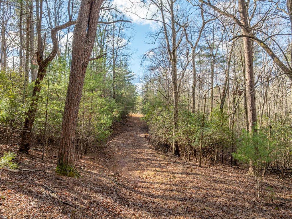 35LT Mill Creek Trail