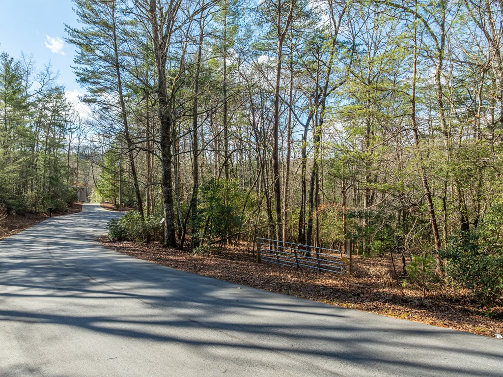 35LT Mill Creek Trail