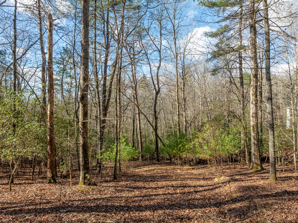 35LT Mill Creek Trail