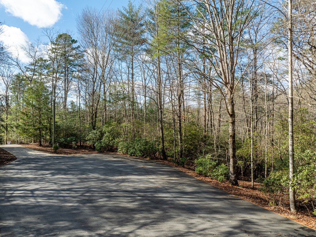 35LT Mill Creek Trail