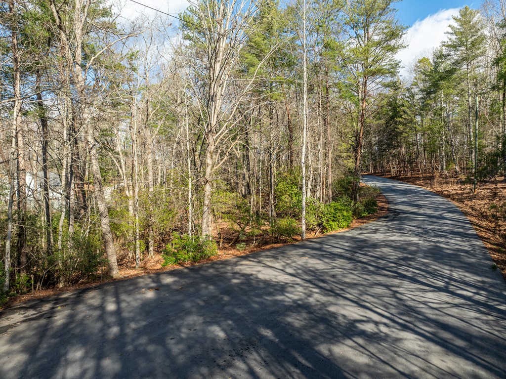 35LT Mill Creek Trail