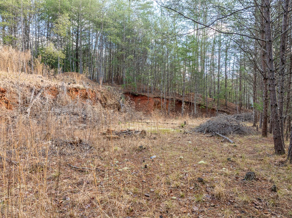 35LT Mill Creek Trail