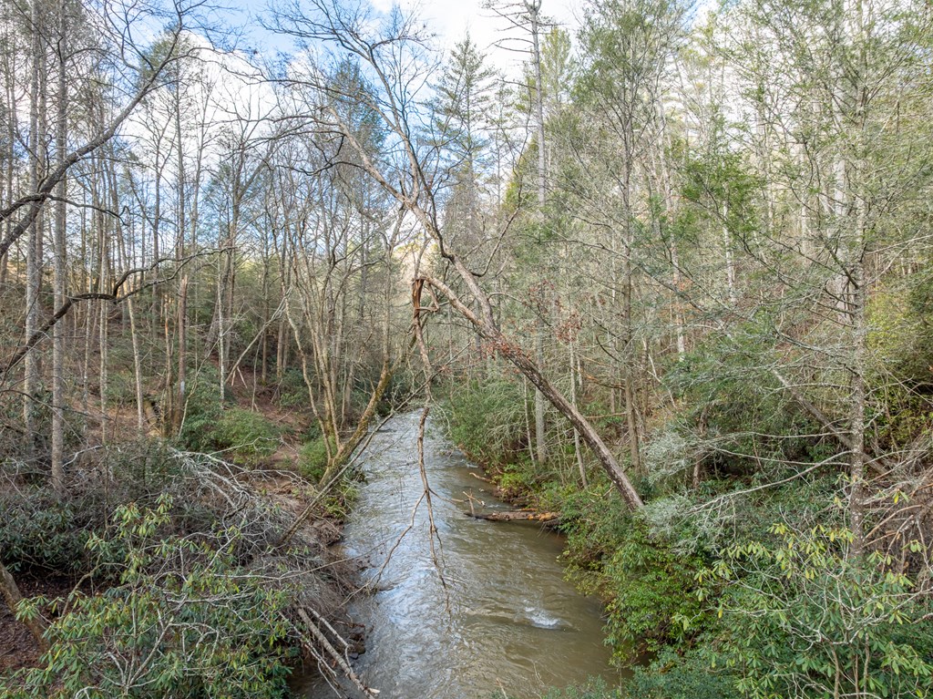 35LT Mill Creek Trail