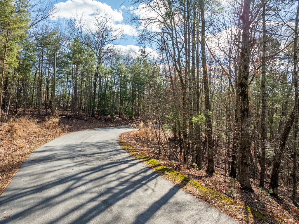 35LT Mill Creek Trail