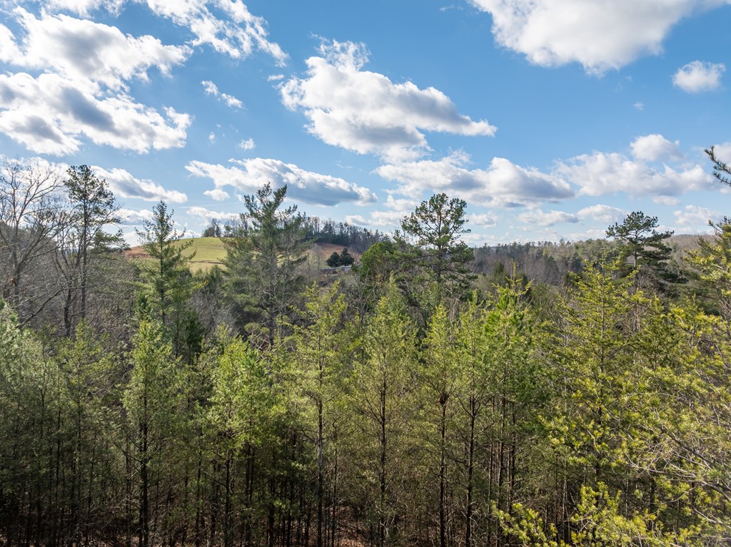 35LT Mill Creek Trail