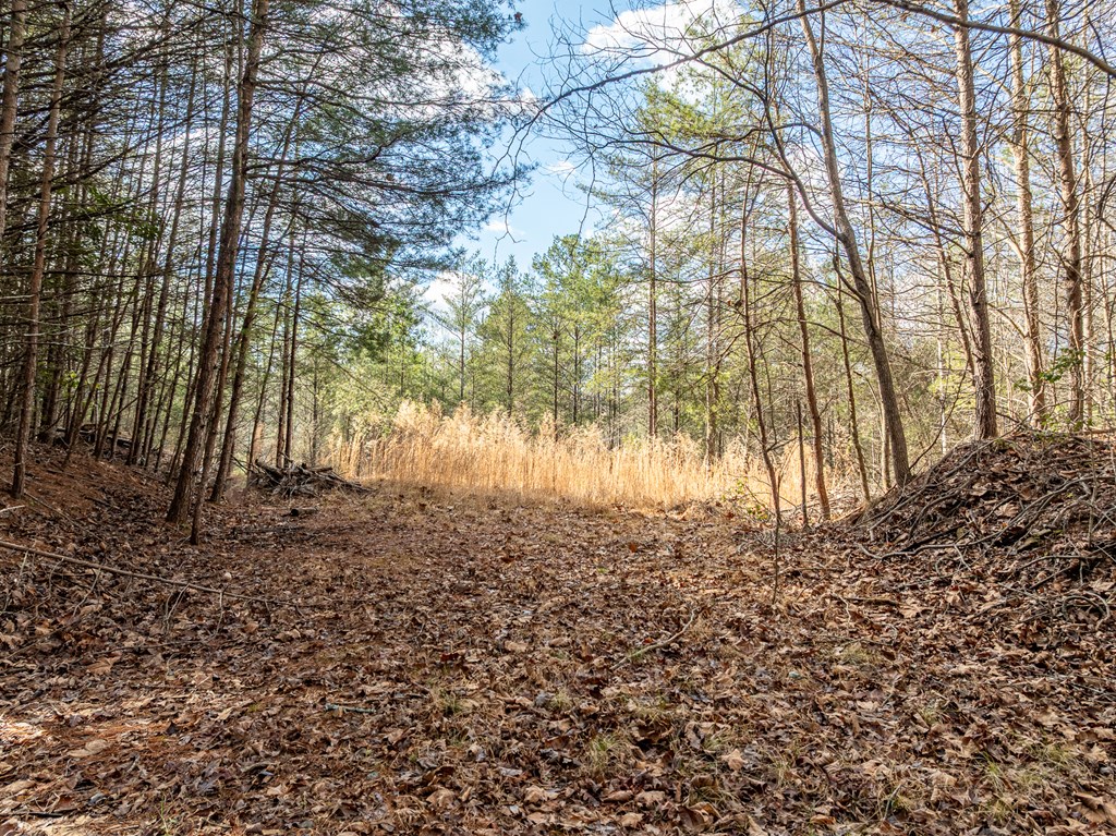 35LT Mill Creek Trail