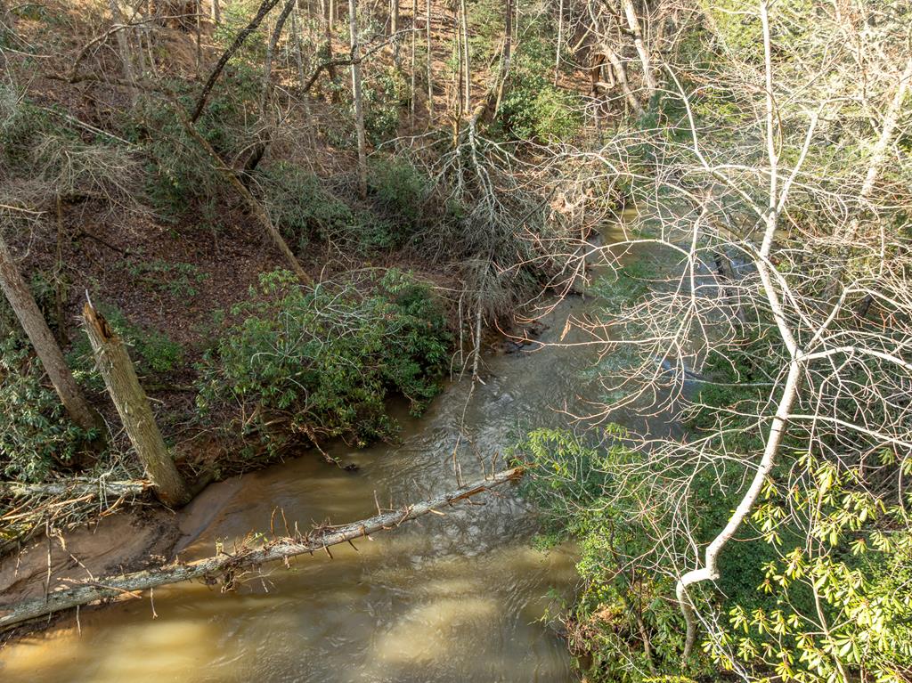 35LT Mill Creek Trail