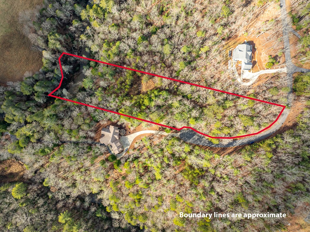 35LT Mill Creek Trail