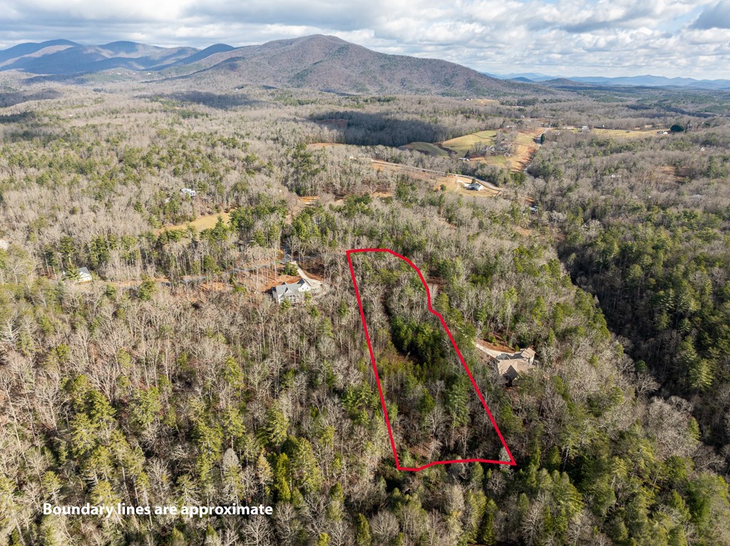 35LT Mill Creek Trail