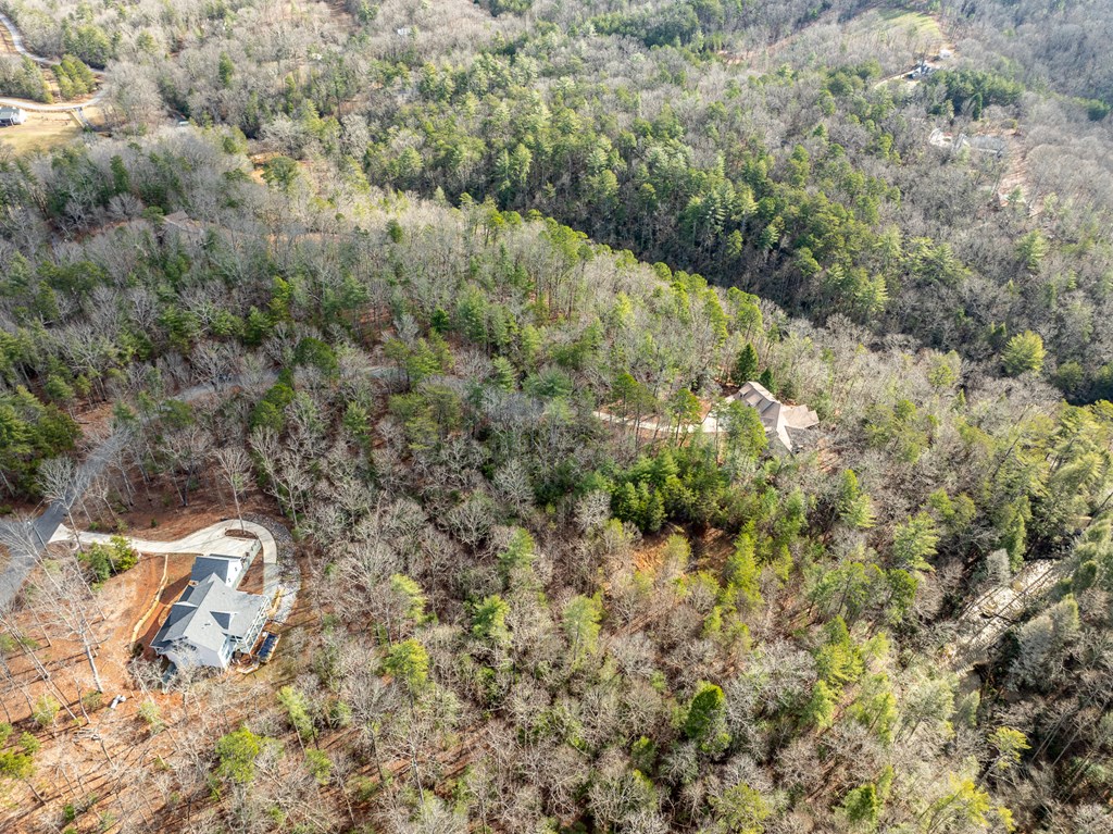 35LT Mill Creek Trail