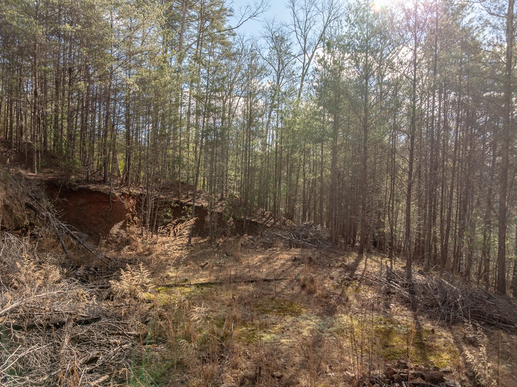 35LT Mill Creek Trail