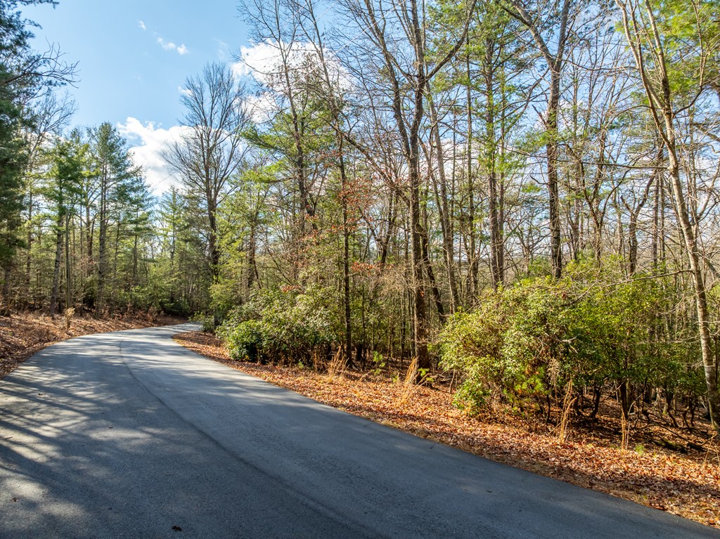 35LT Mill Creek Trail