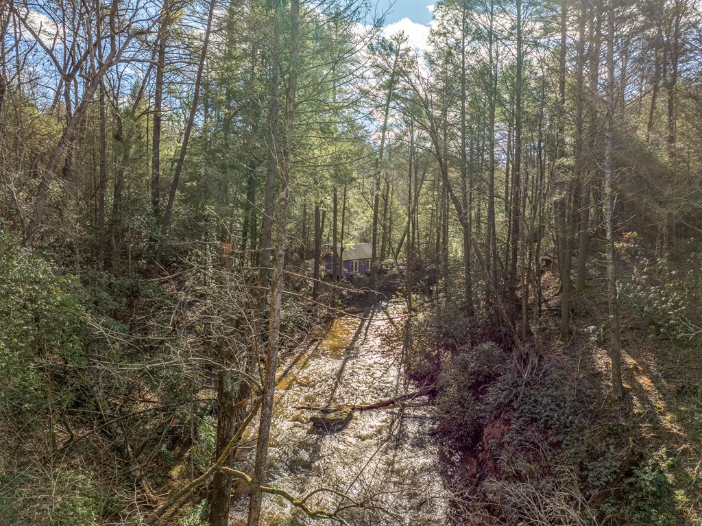 35LT Mill Creek Trail
